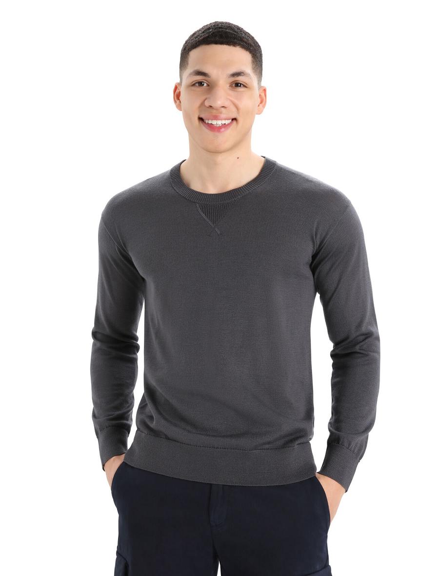 Chandails Icebreaker Cool-Lite™ Merino Nova Sweatshirt Homme Argent Grise | FR 1216CTVE